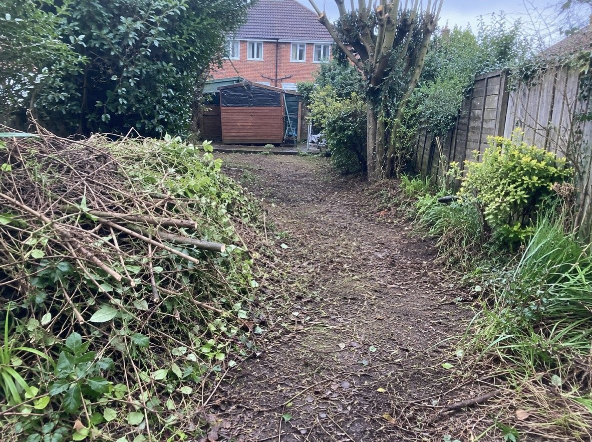 Overgrown garden being cleared in Cyncoed