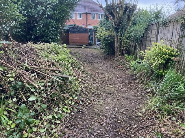 Garden path overgrown with brambles being cleared with shears