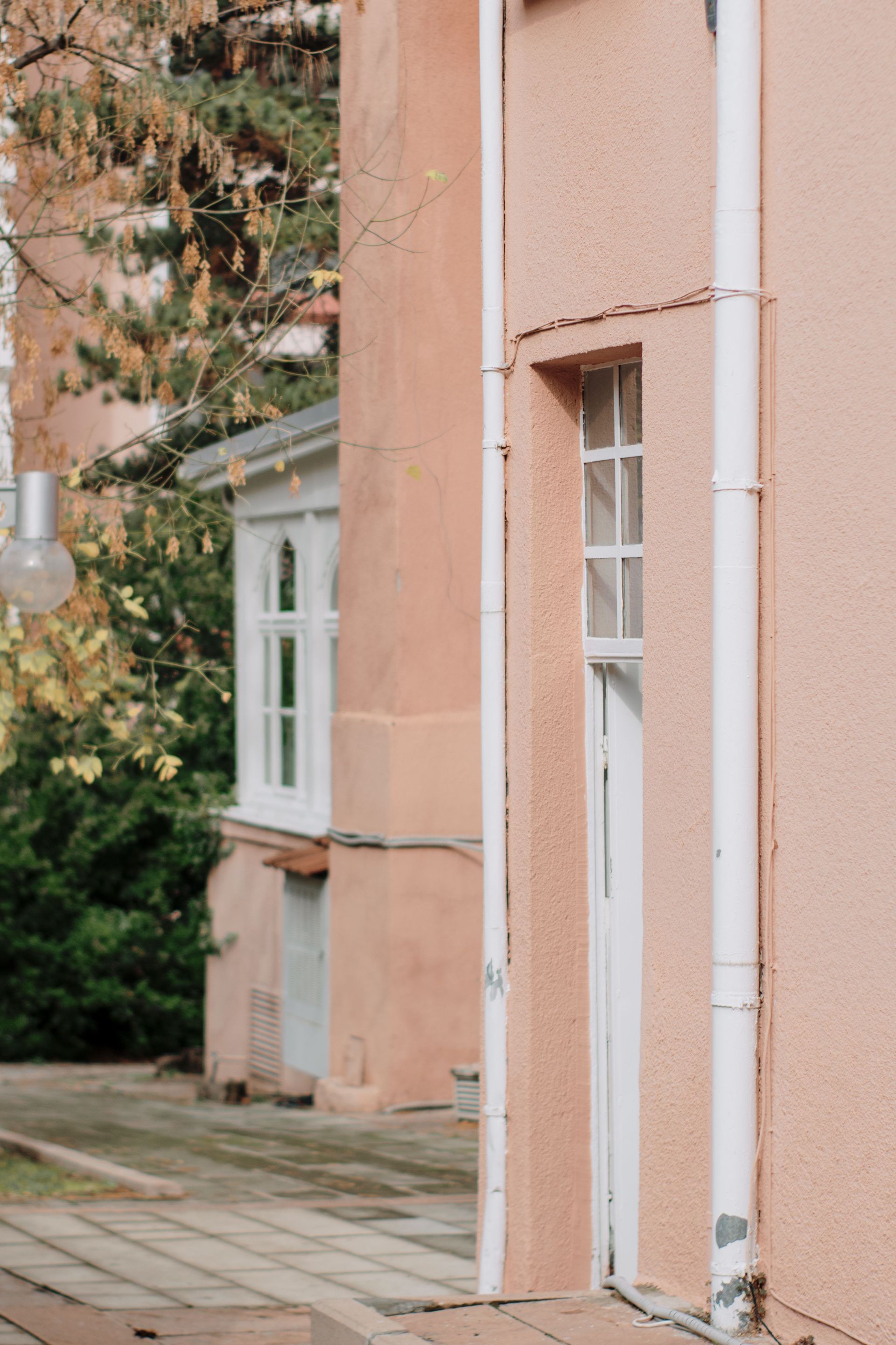 Pink stucco building with white-trimmed windows and a paved path beside greenery