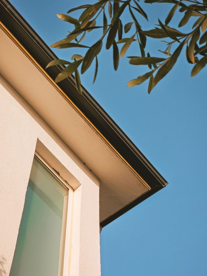 Yellow house corner with two windows and climbing vines under the roofline
