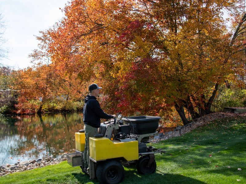 Lawn Fertilization | Root Development | Suffield, CT