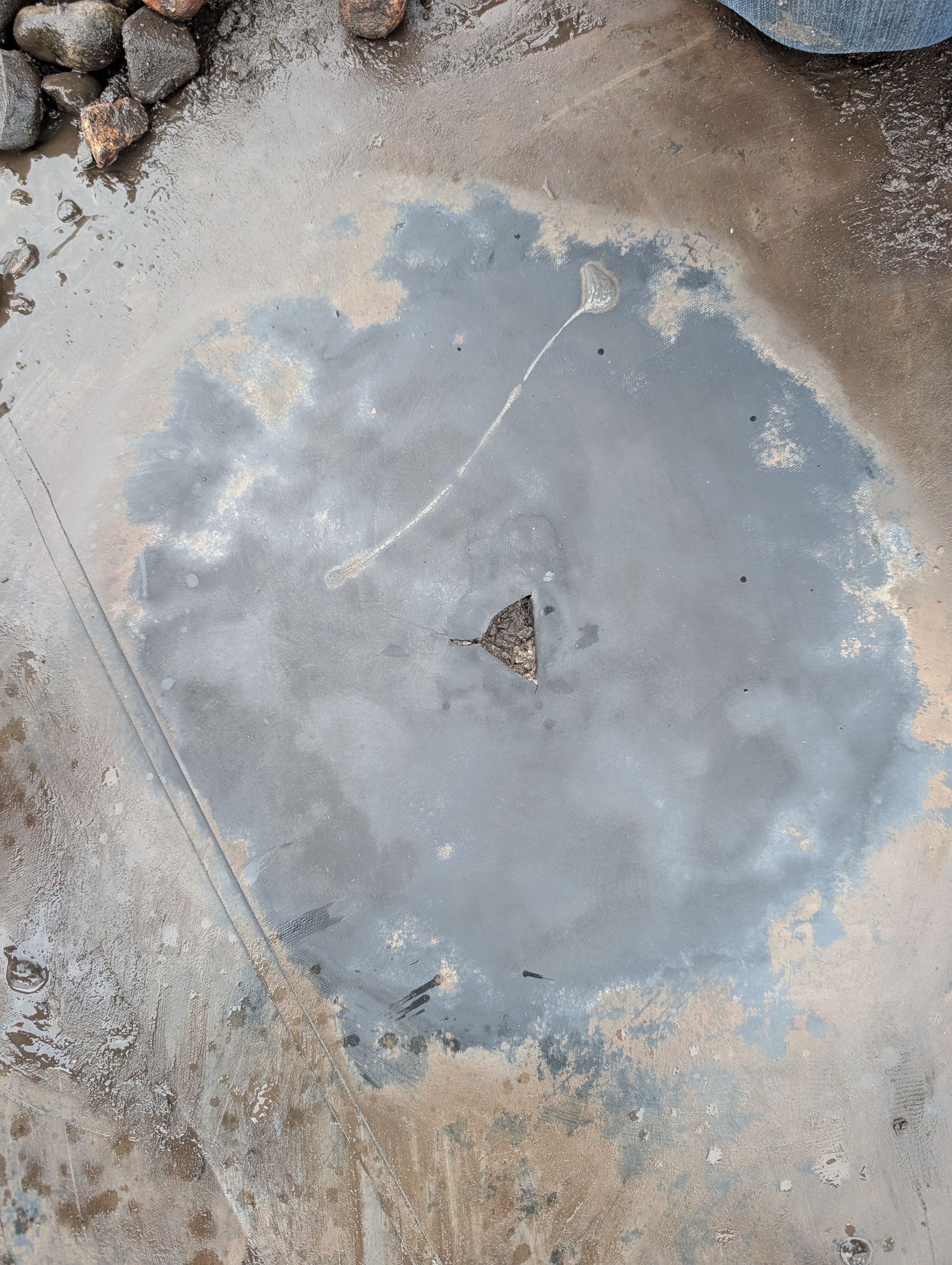 Wet cement with a central brown object and a rock border.
