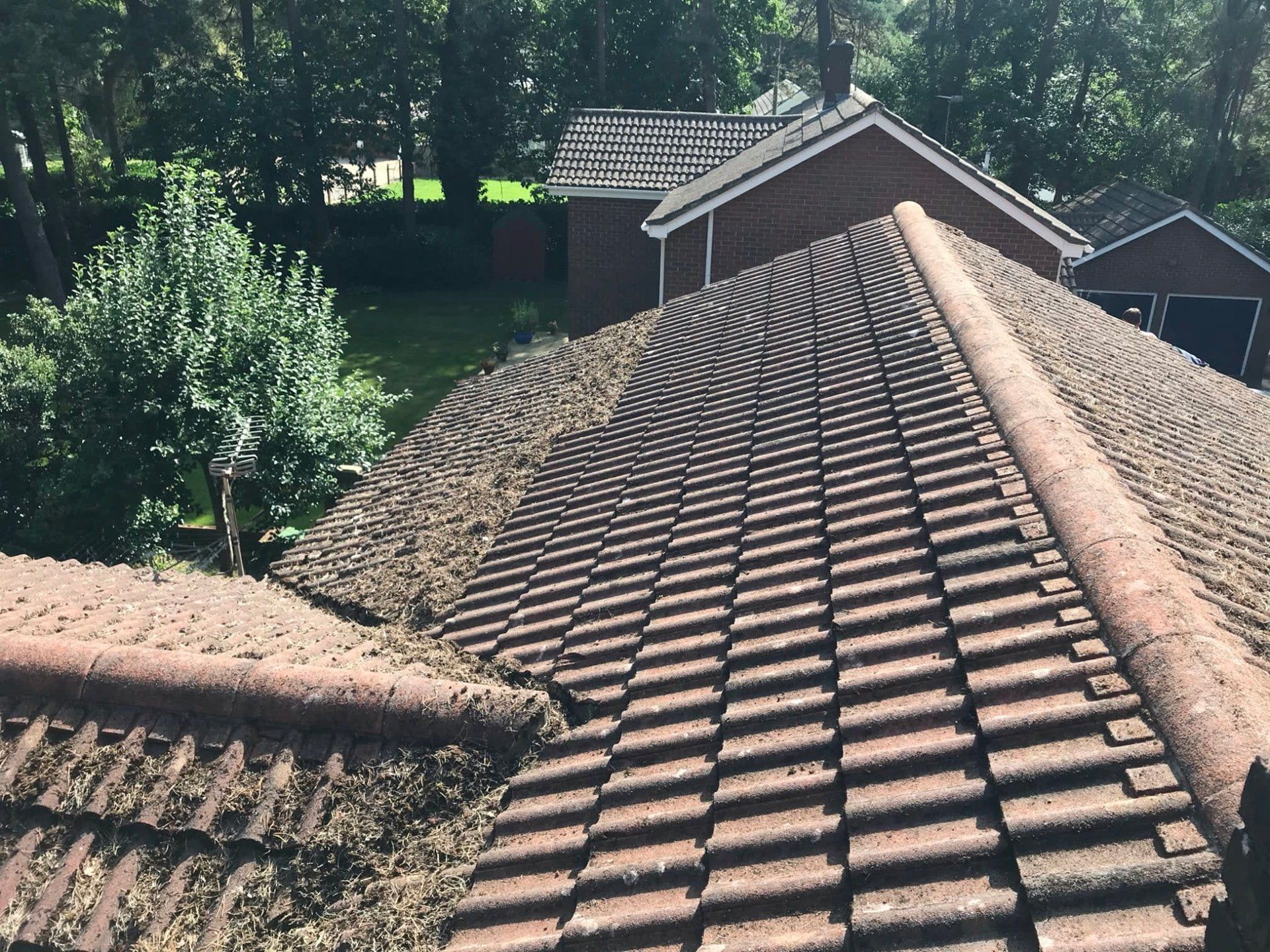 gutter with leaves