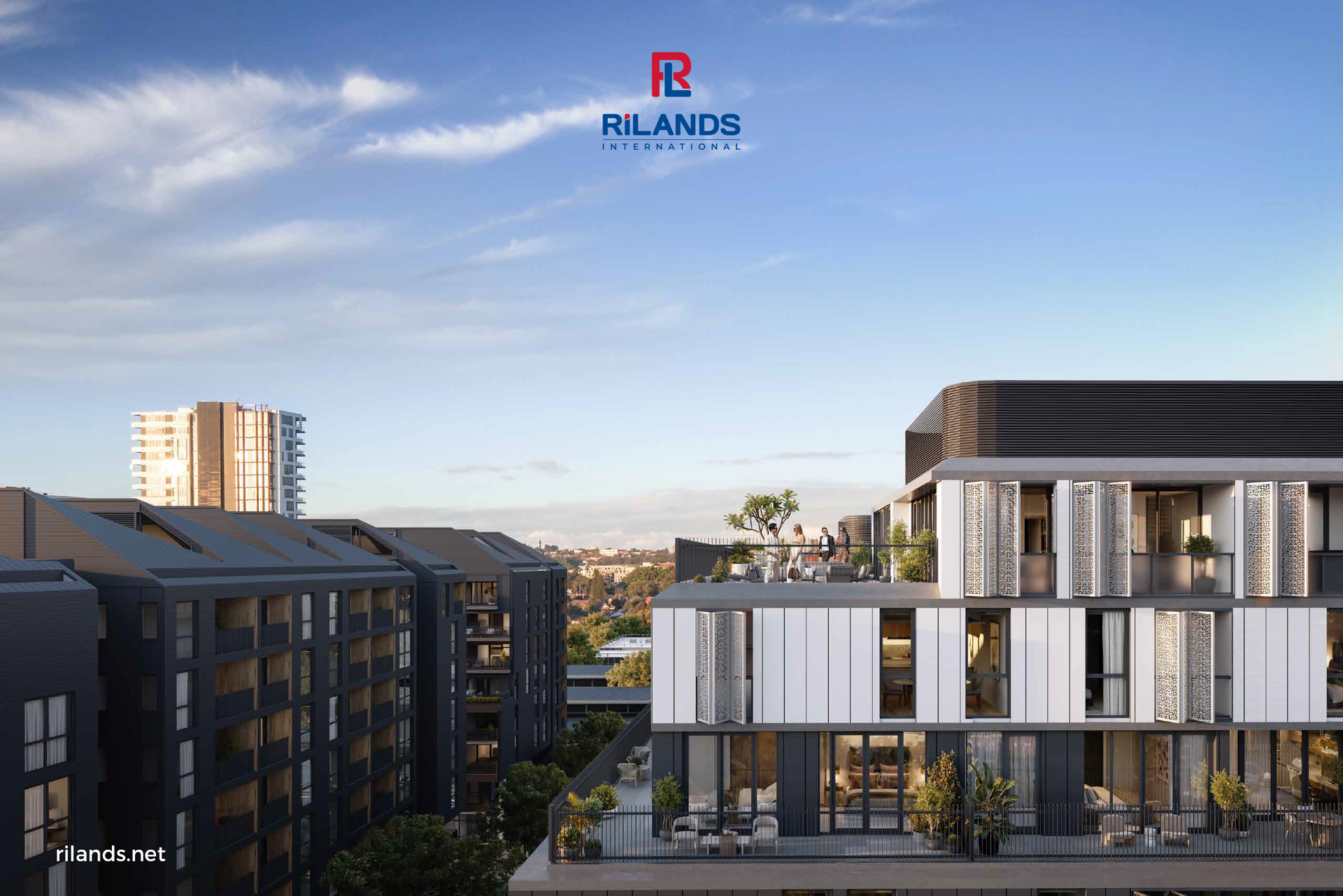 downtown zetland