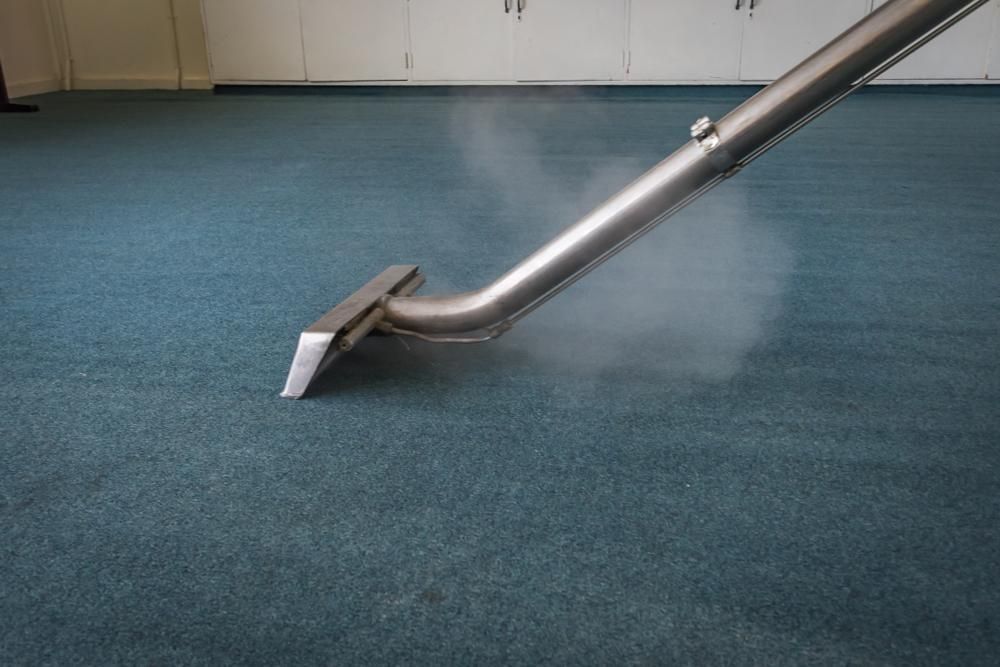 Vacuum Cleaner is Cleaning a Blue Carpet in a Room — Boyne Carpet Cleaning in Iveragh, QLD
