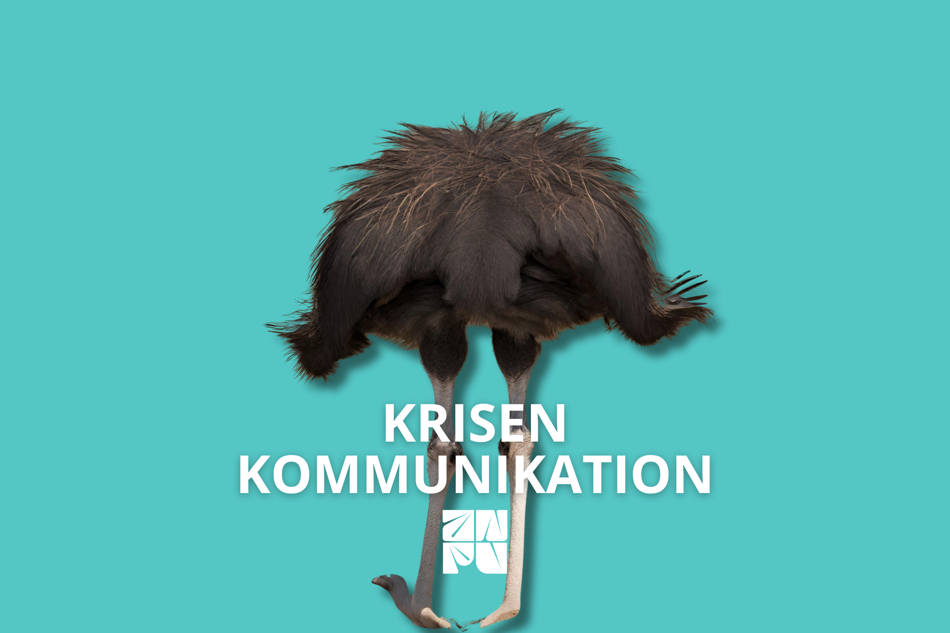 Das Bild zeigt ein Beispiel-Motiv.