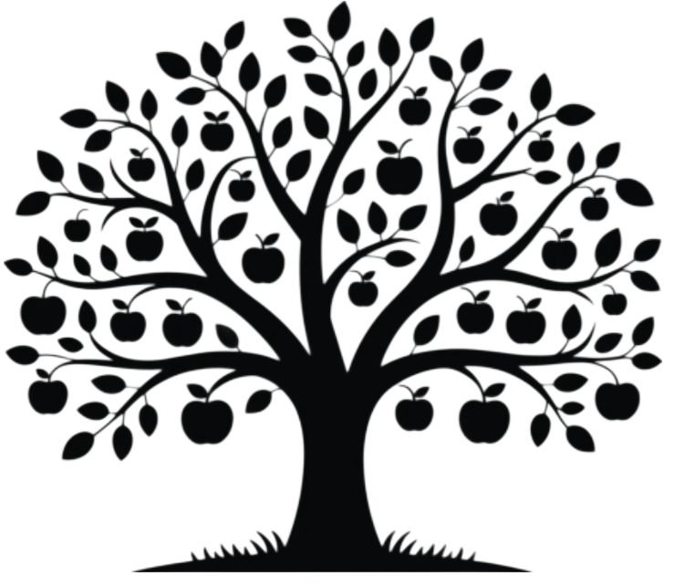 Apple Orchard