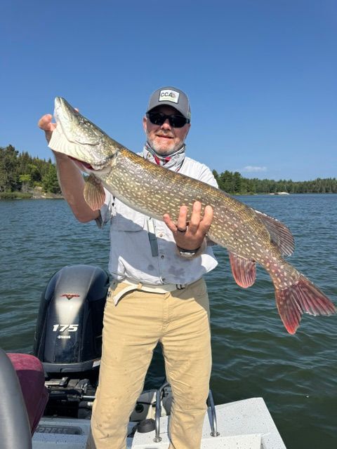 Man holding a large northern pike on a boat on a sunny lake