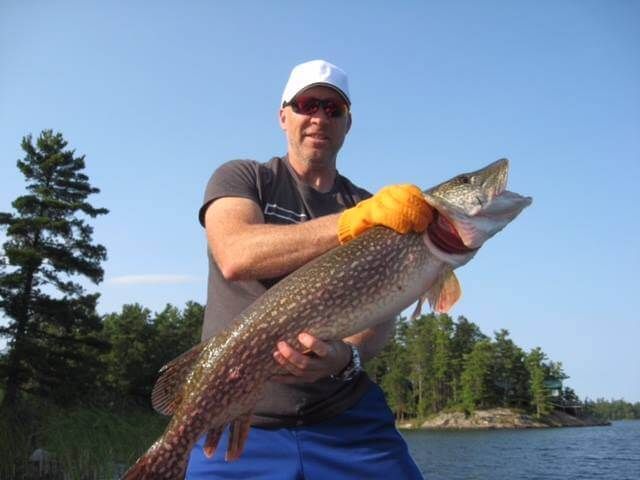 Person holding a large fish by a lakeshore with trees and blue sky in the background