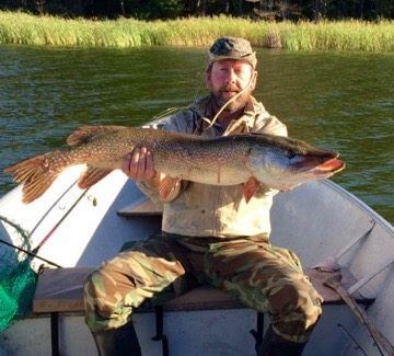 Man sitting in a boat holding a large fish on a lake