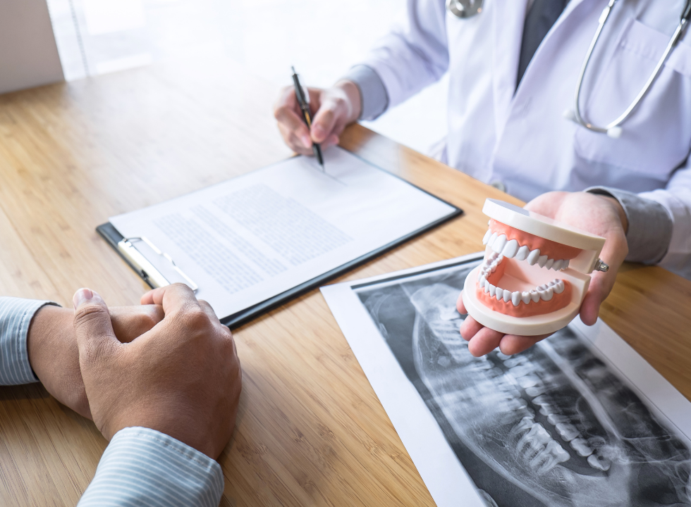 A dentist is holding a model of teeth while talking to a patient.