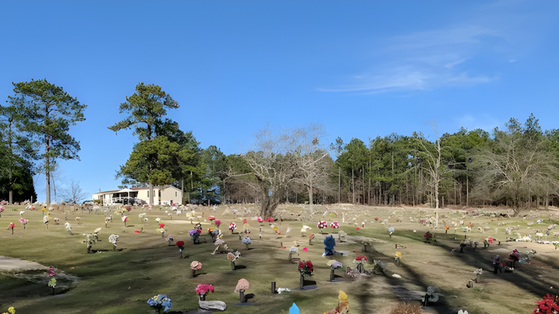 Cemetery on a hill under a bright blue sky, with headstones and trees. Several people are present.