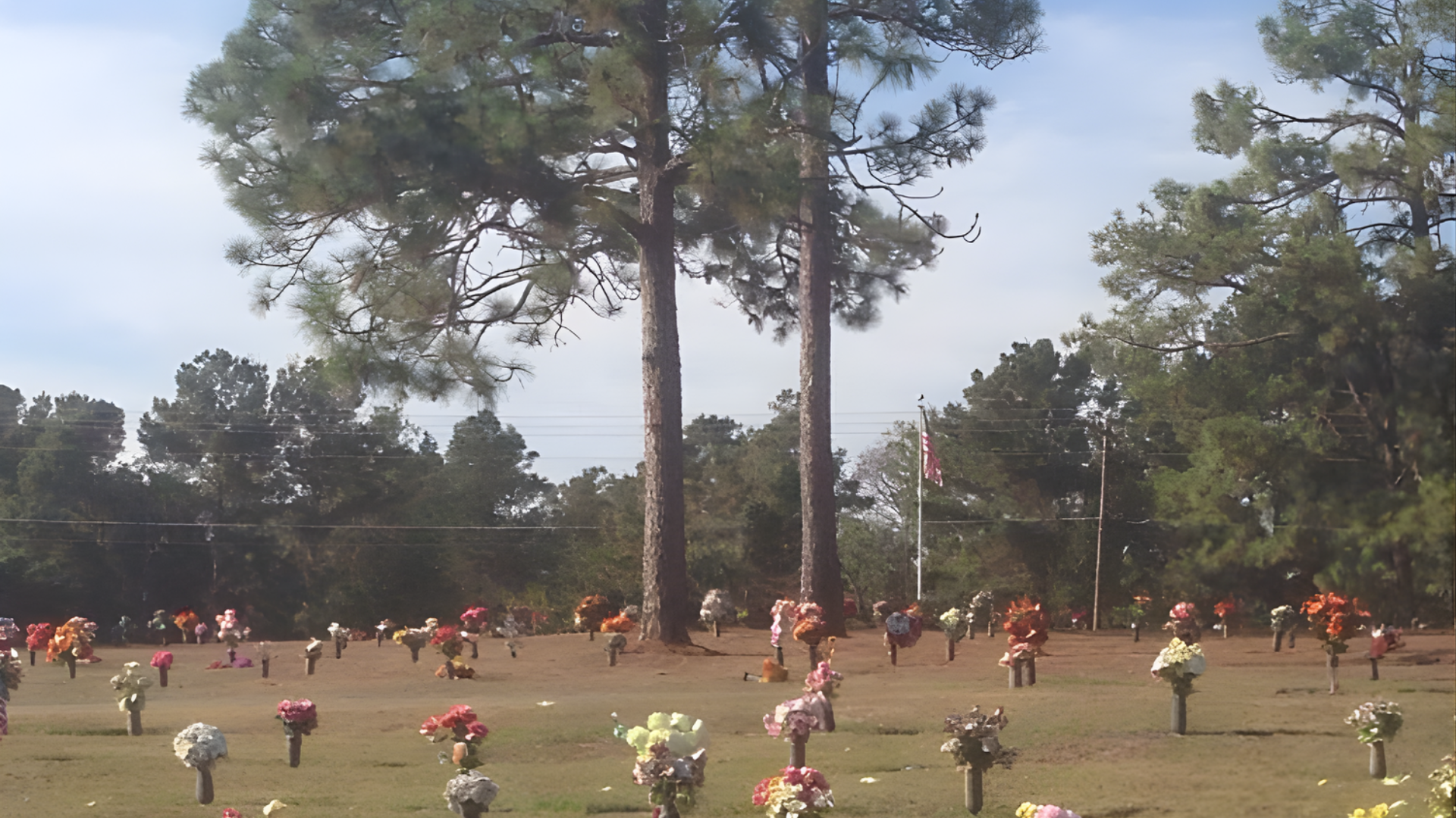 Cemetery with headstones and colorful flowers under tall trees.
