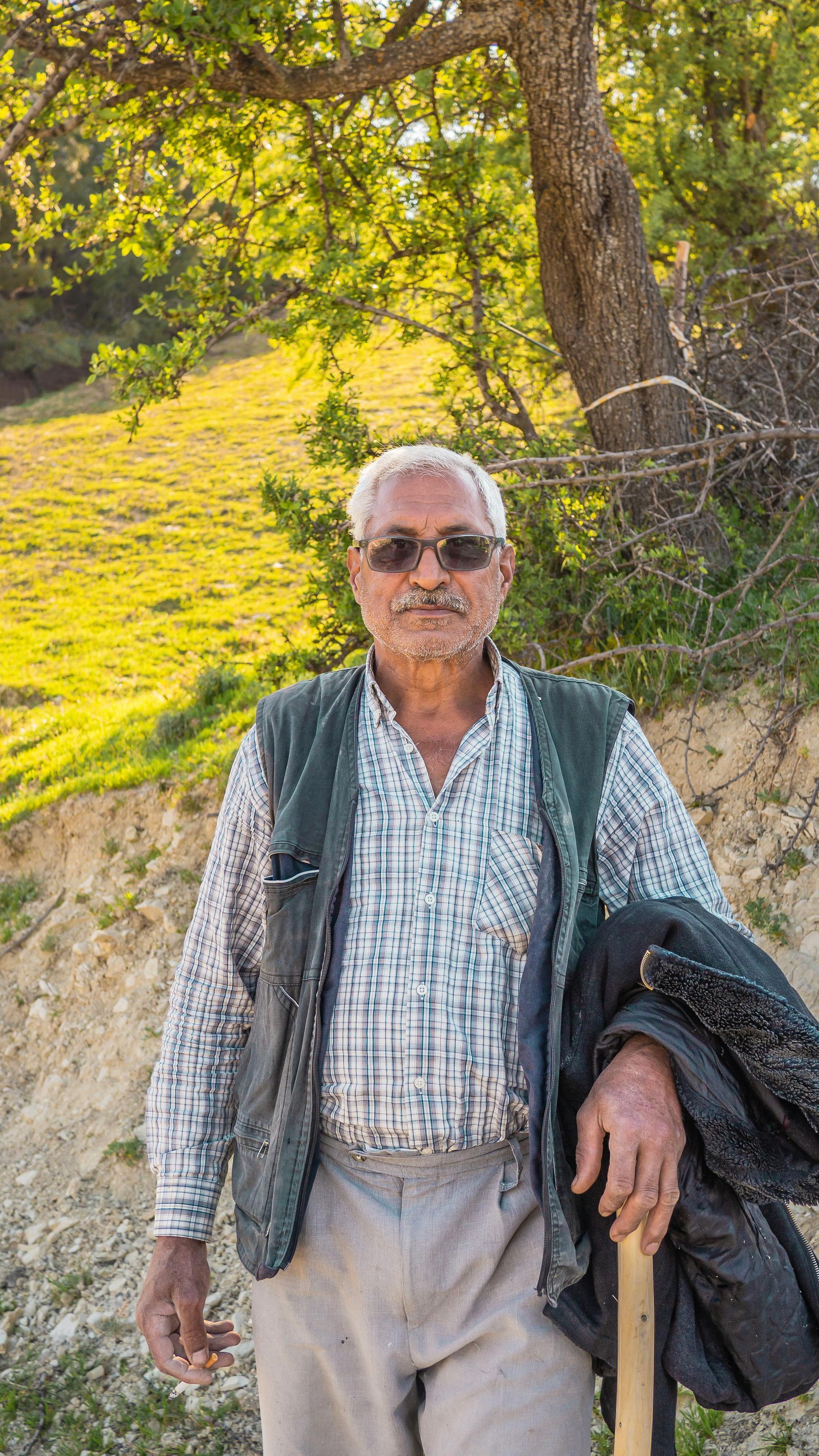 Older man wearing glasses and vest, holding a walking stick. Outdoors, near a tree, in a sunny field.