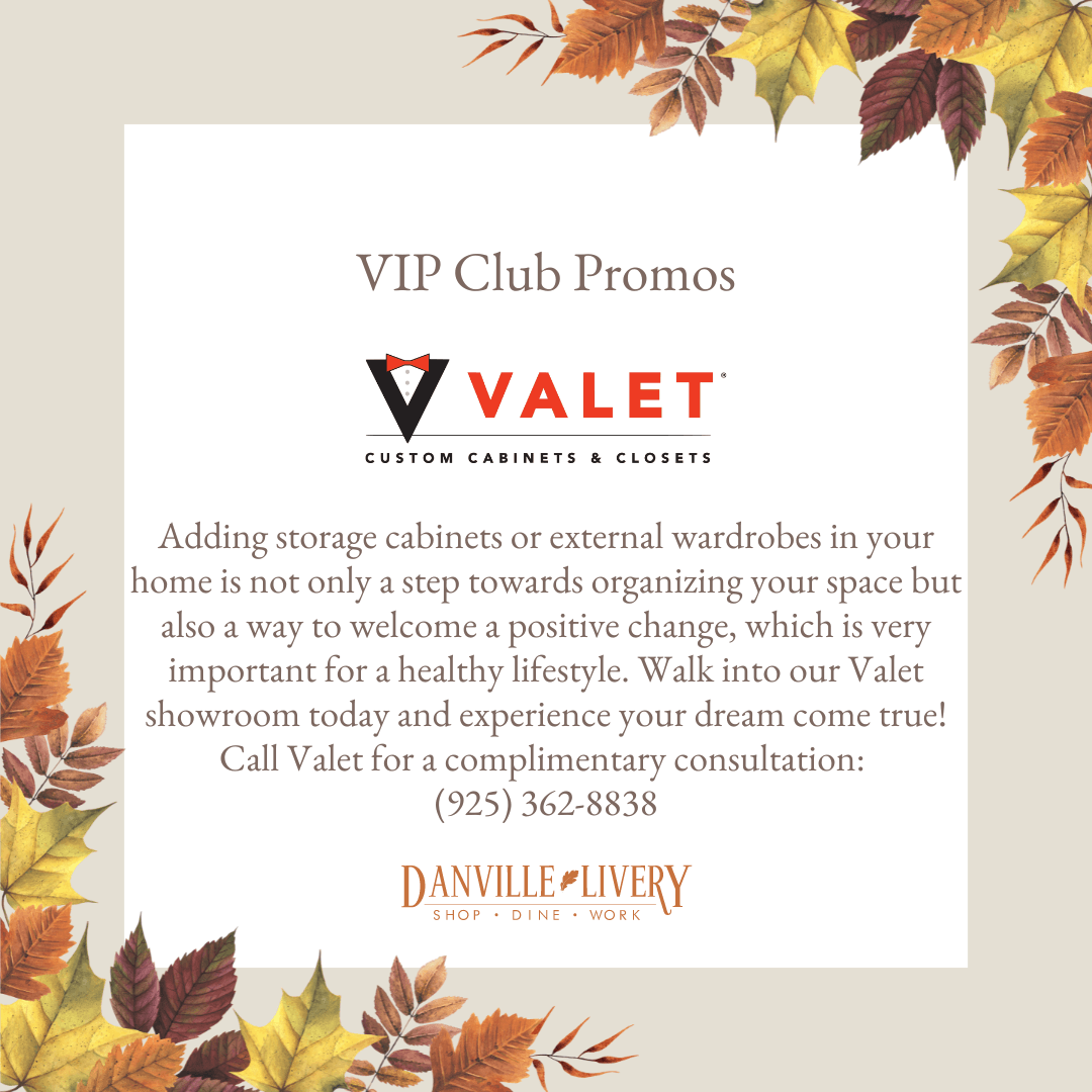 An advertisement for vip club promos for valet cabinets and closets