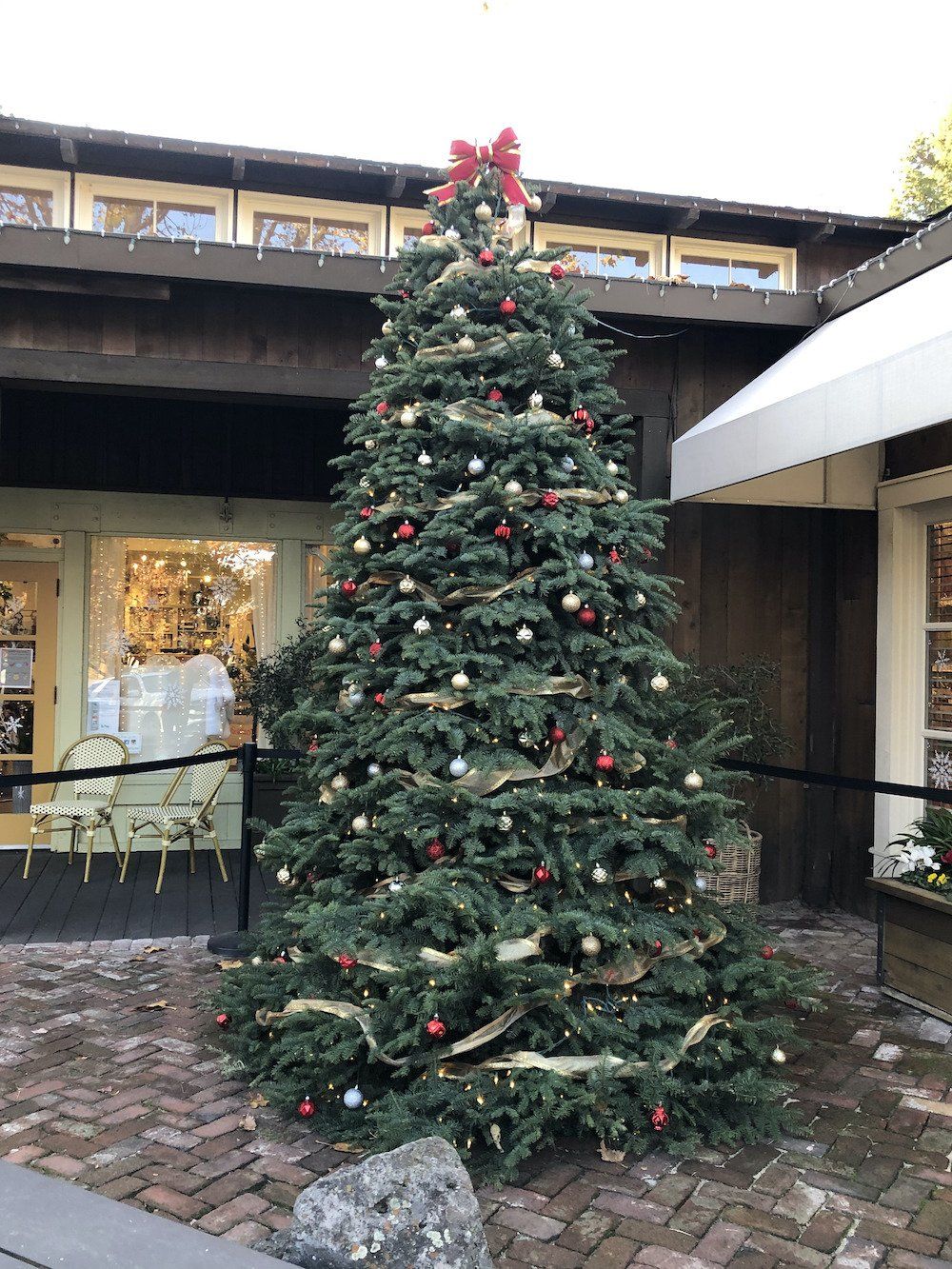 A large christmas tree is sitting in front of a building.
