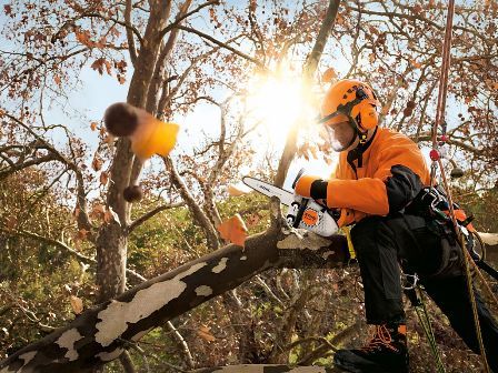 Arboricoltore che indossa l'equipaggiamento di sicurezza mentre taglia un ramo di un albero con una motosega, con la luce del sole sullo sfondo.