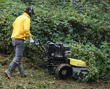Persona con giacca gialla che aziona un decespugliatore in una zona invasa dalla vegetazione.
