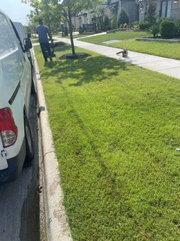 A white truck is parked on the side of the road next to a lush green lawn.