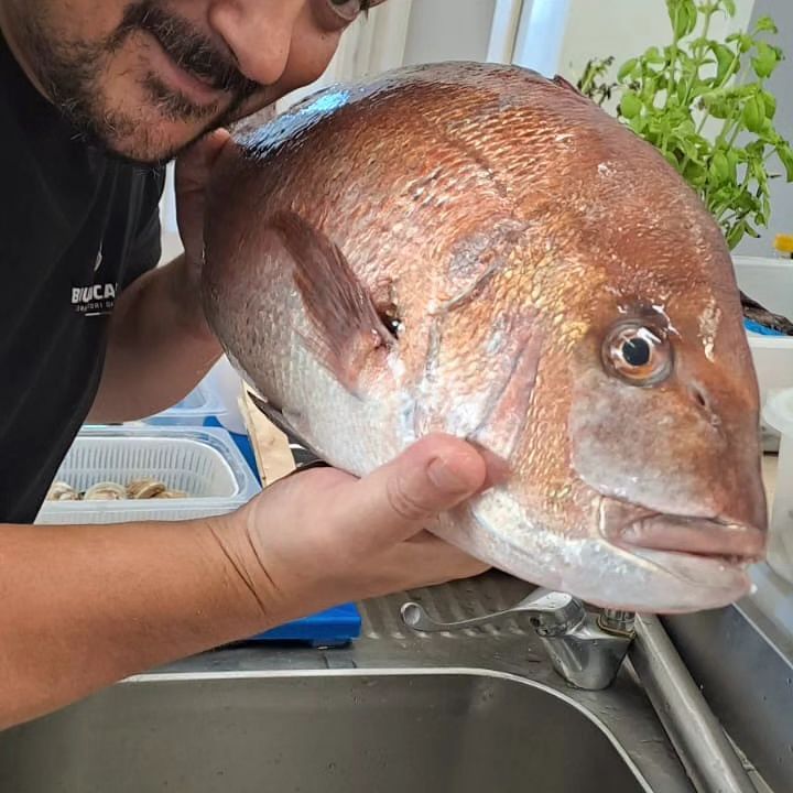 Pesce fresco