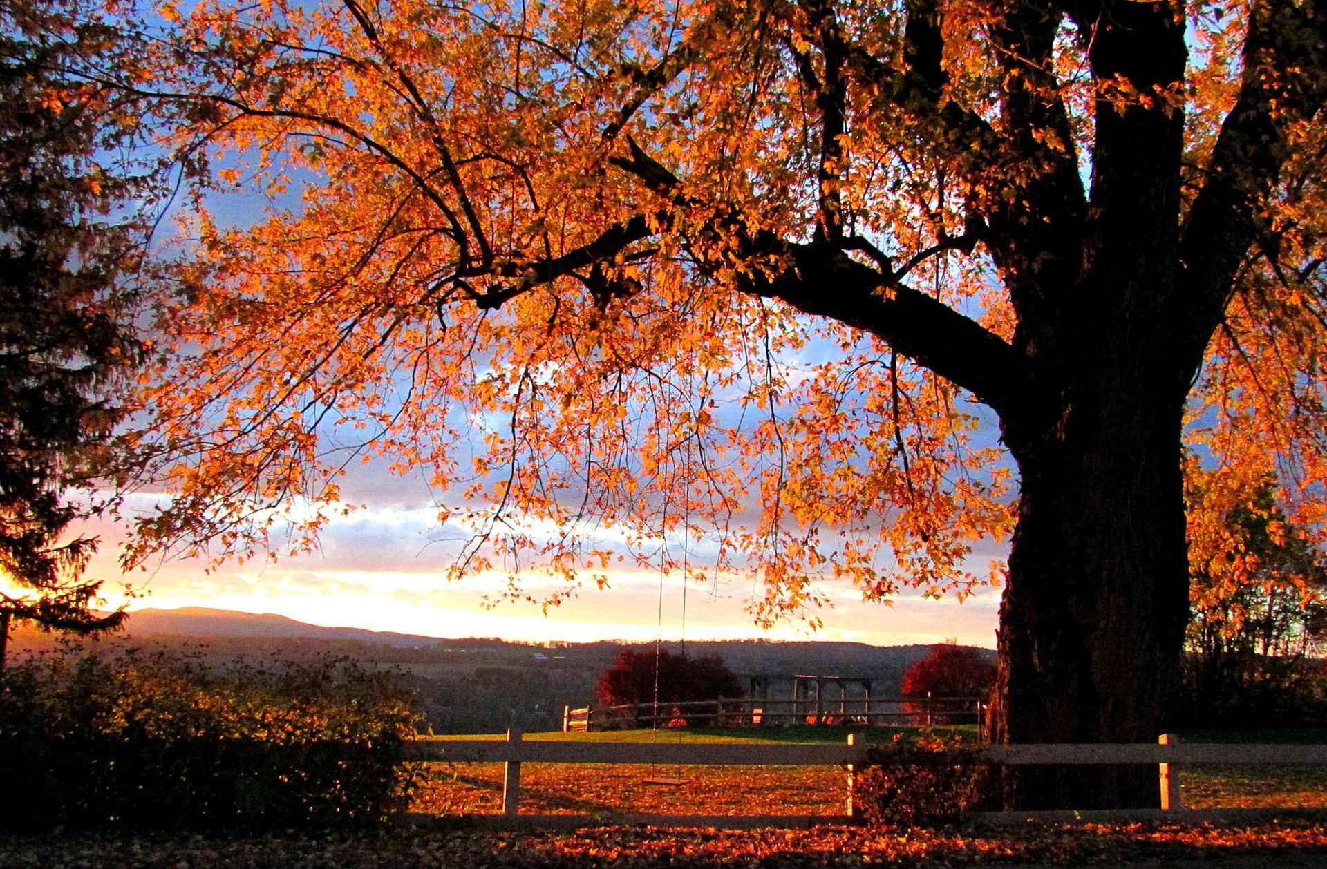 Fall foliage at sunset in Burke, Vermont at The Wildflower