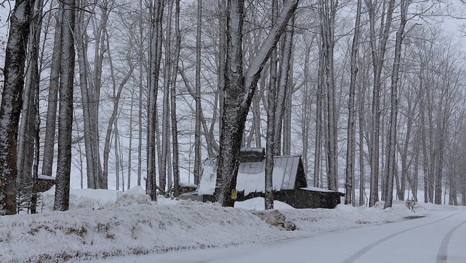 A snow covered sugarhouse in West Burke, VT