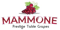 R.D MAMMONE & M Mammone-Logo