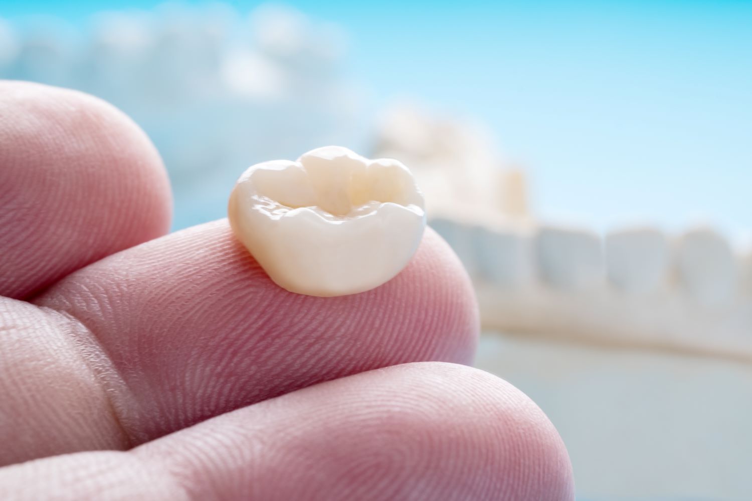 A person is holding a tooth in their hand in front of a model of teeth.