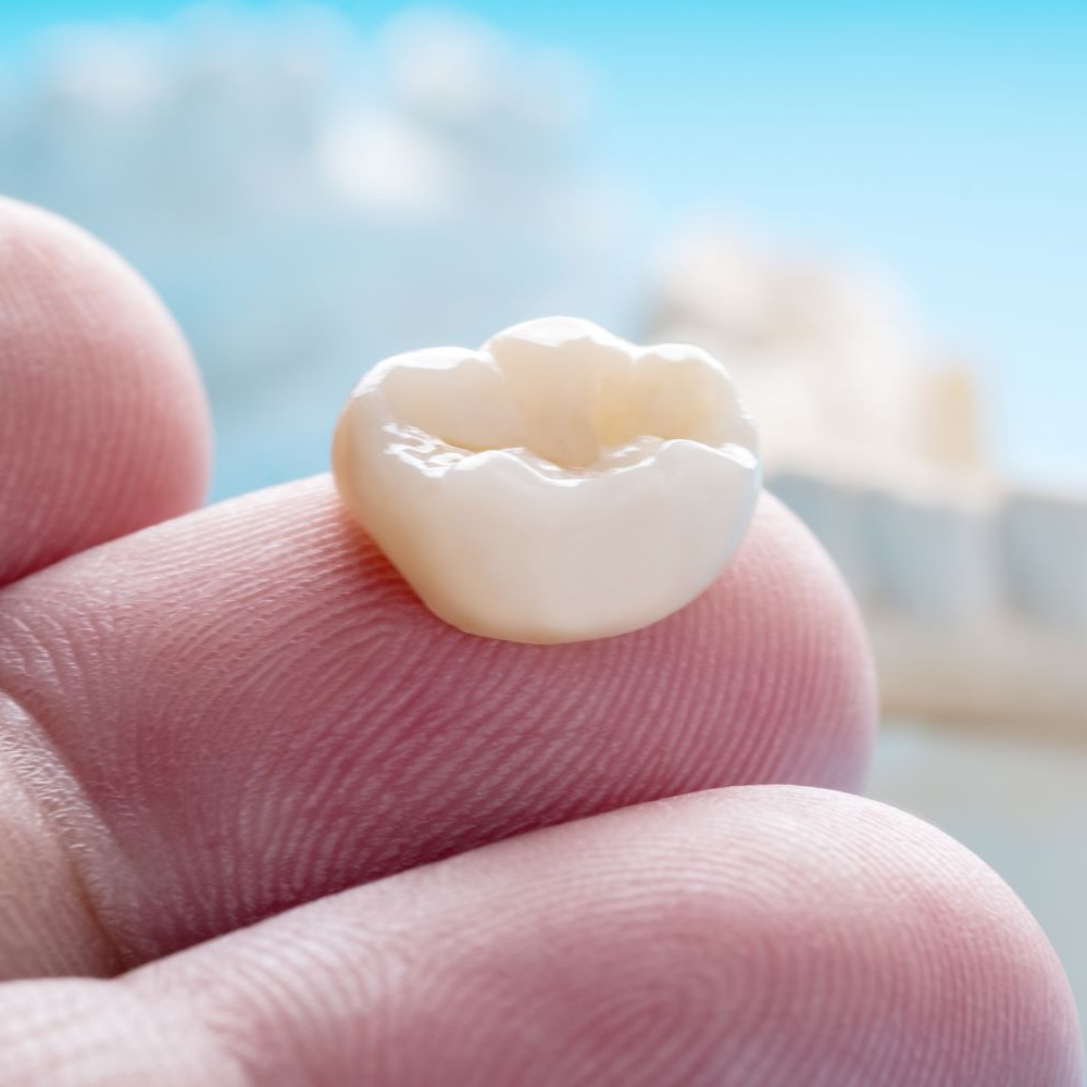 A person is holding a tooth in their hand in front of a model of teeth near Garner, NC.