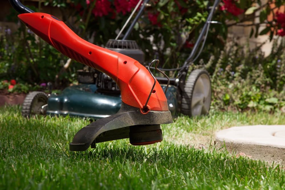 A Lawn Mower is Cutting the Grass Next to a Trimmer — AD House Wash & Gutter Cover in East Toowoomba, QLD