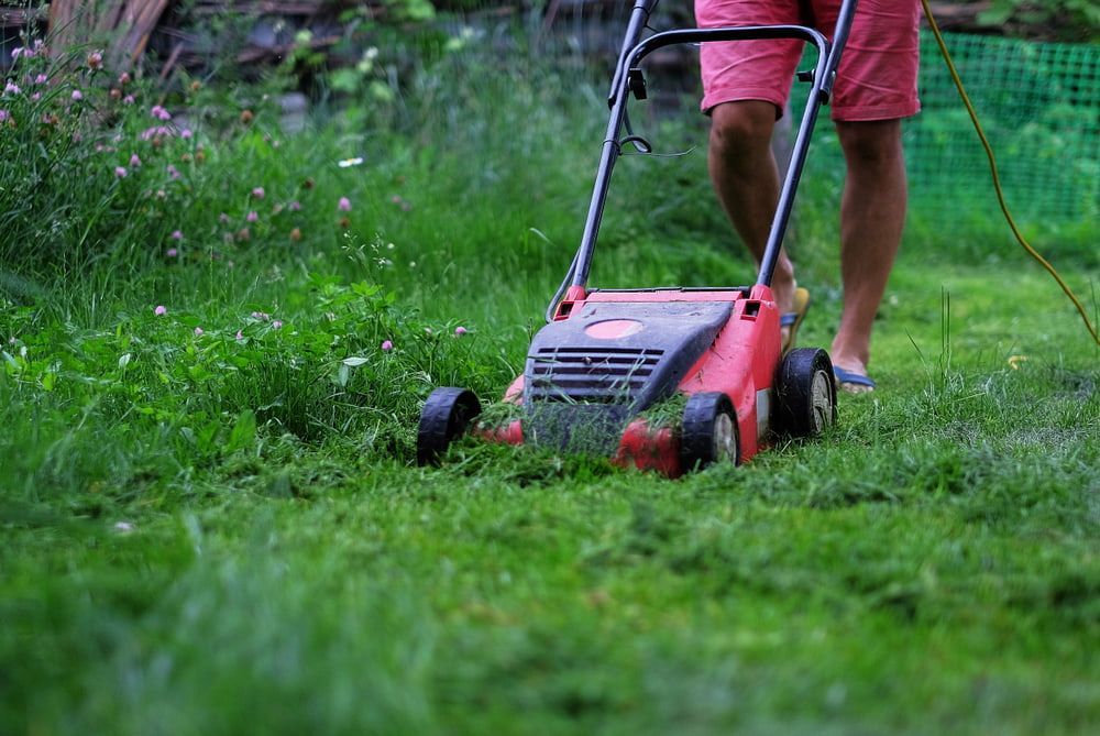 A Woman is Cutting the Grass With a Lawn Mower — AD House Wash & Gutter Cover in East Toowoomba, QLD