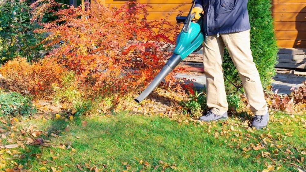 A Man is Blowing Leaves in a Garden With a Leaf Blower — AD House Wash & Gutter Cover in East Toowoomba, QLD