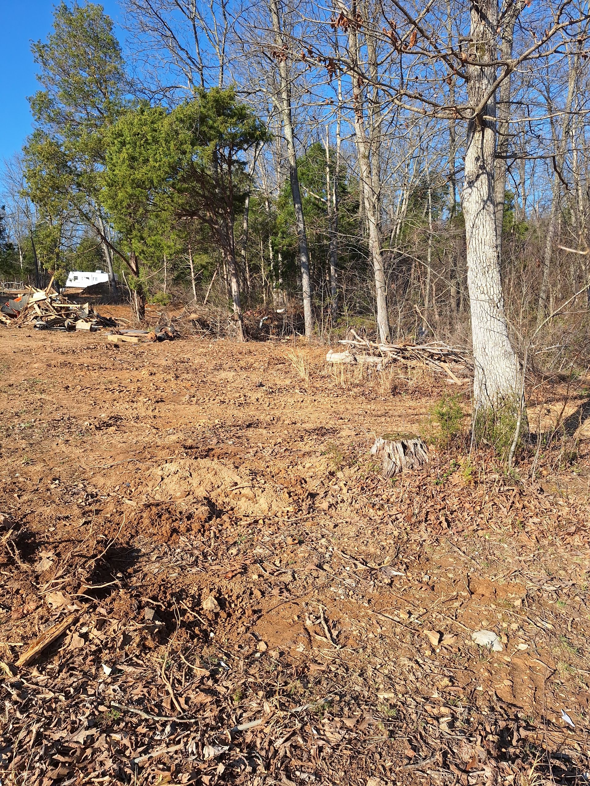 Dry wooded hillside with brown leaves and bare trees under a clear blue sky.