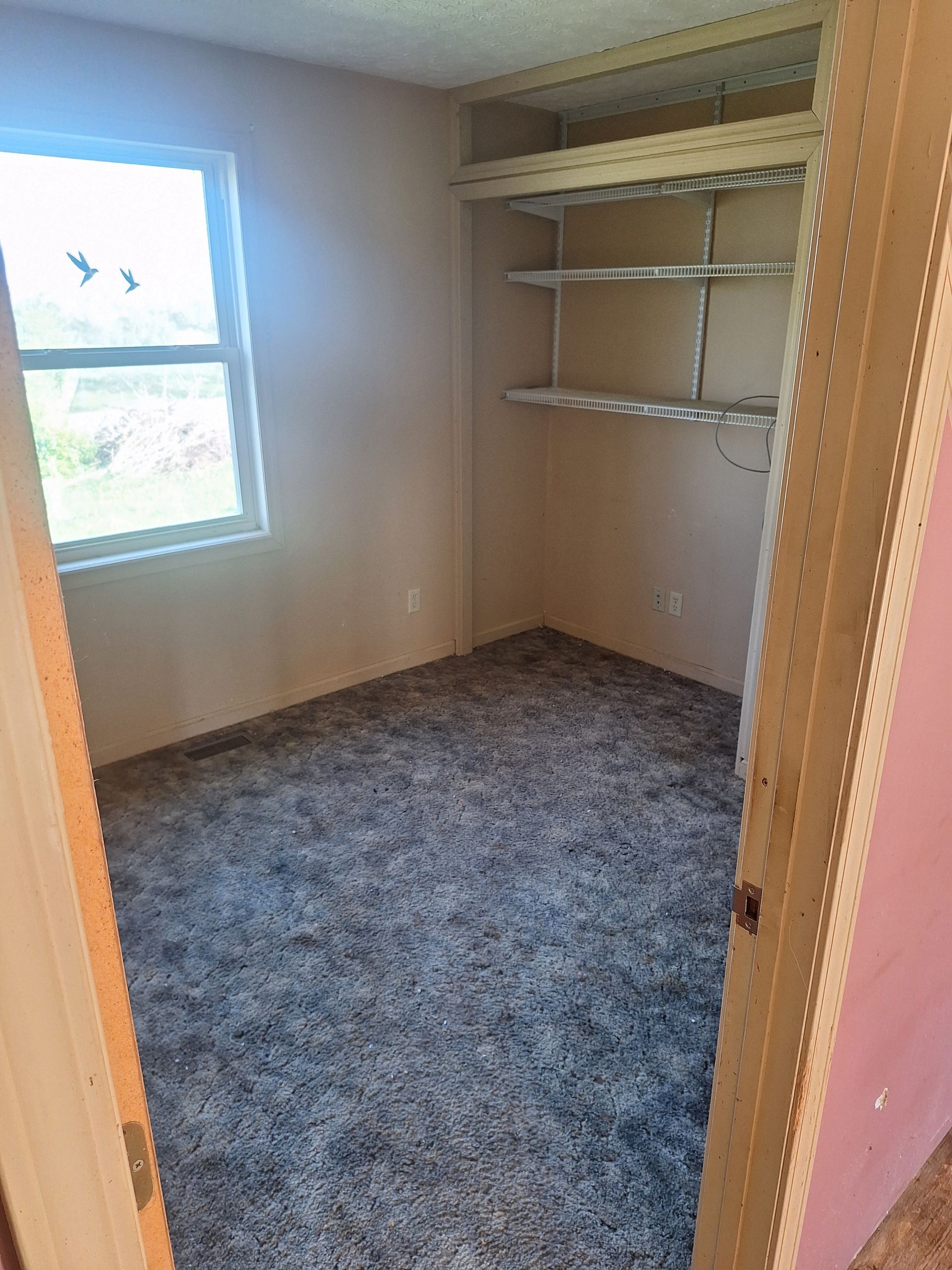 Empty carpeted bedroom with a window and built-in closet shelving