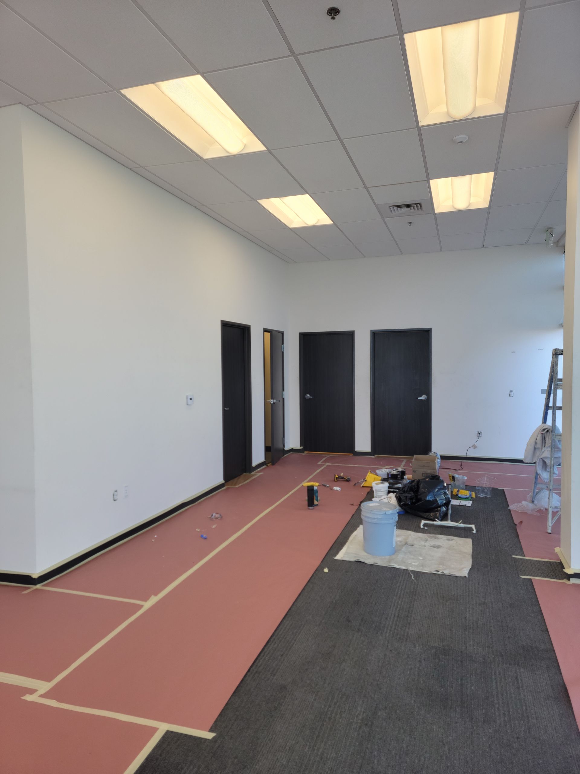 An empty room with a pink carpet and white lines on the floor