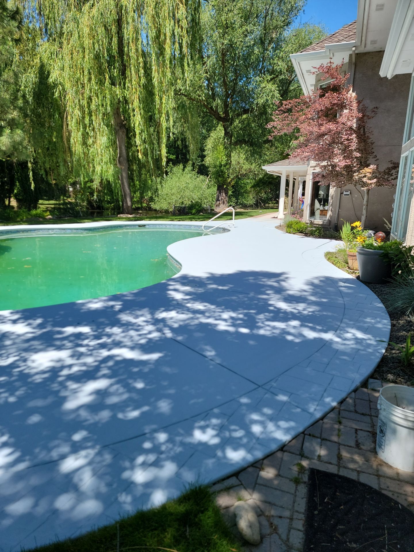 There is a large swimming pool in the backyard of a house.
