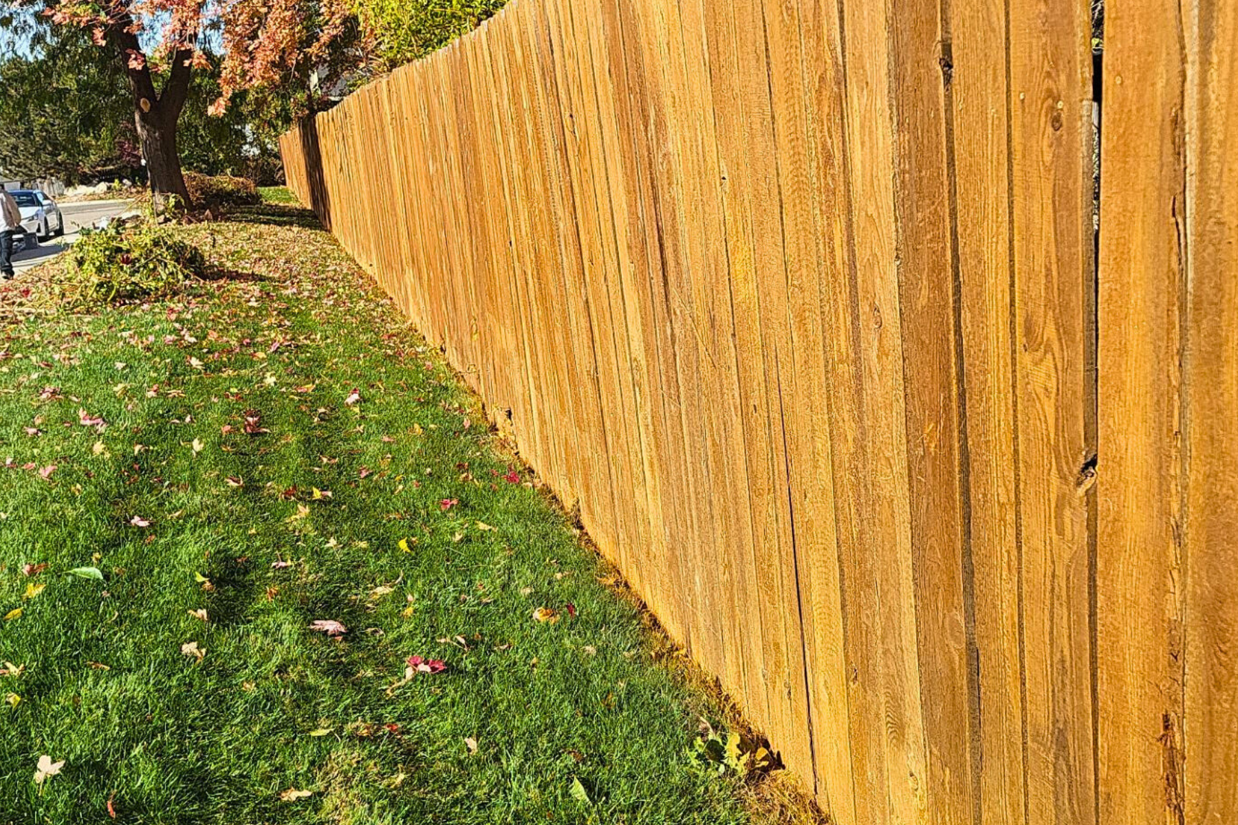 A wooden fence surrounds a lush green yard.