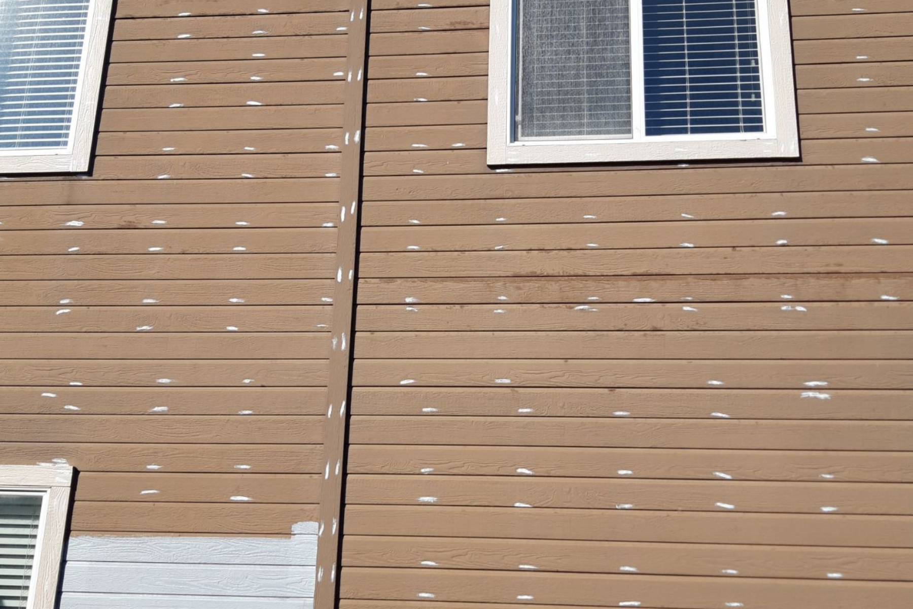 A house with a brown siding and white windows