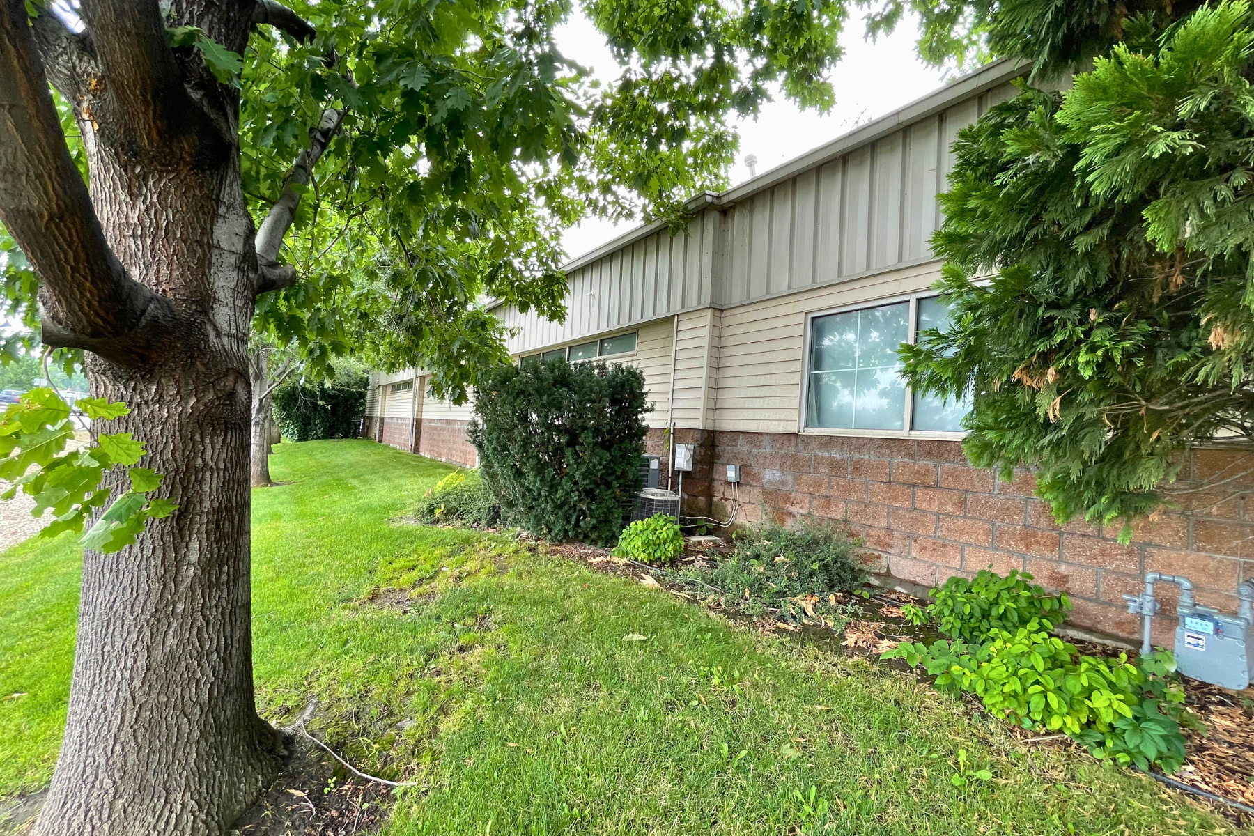 A house with a tree in front of it.