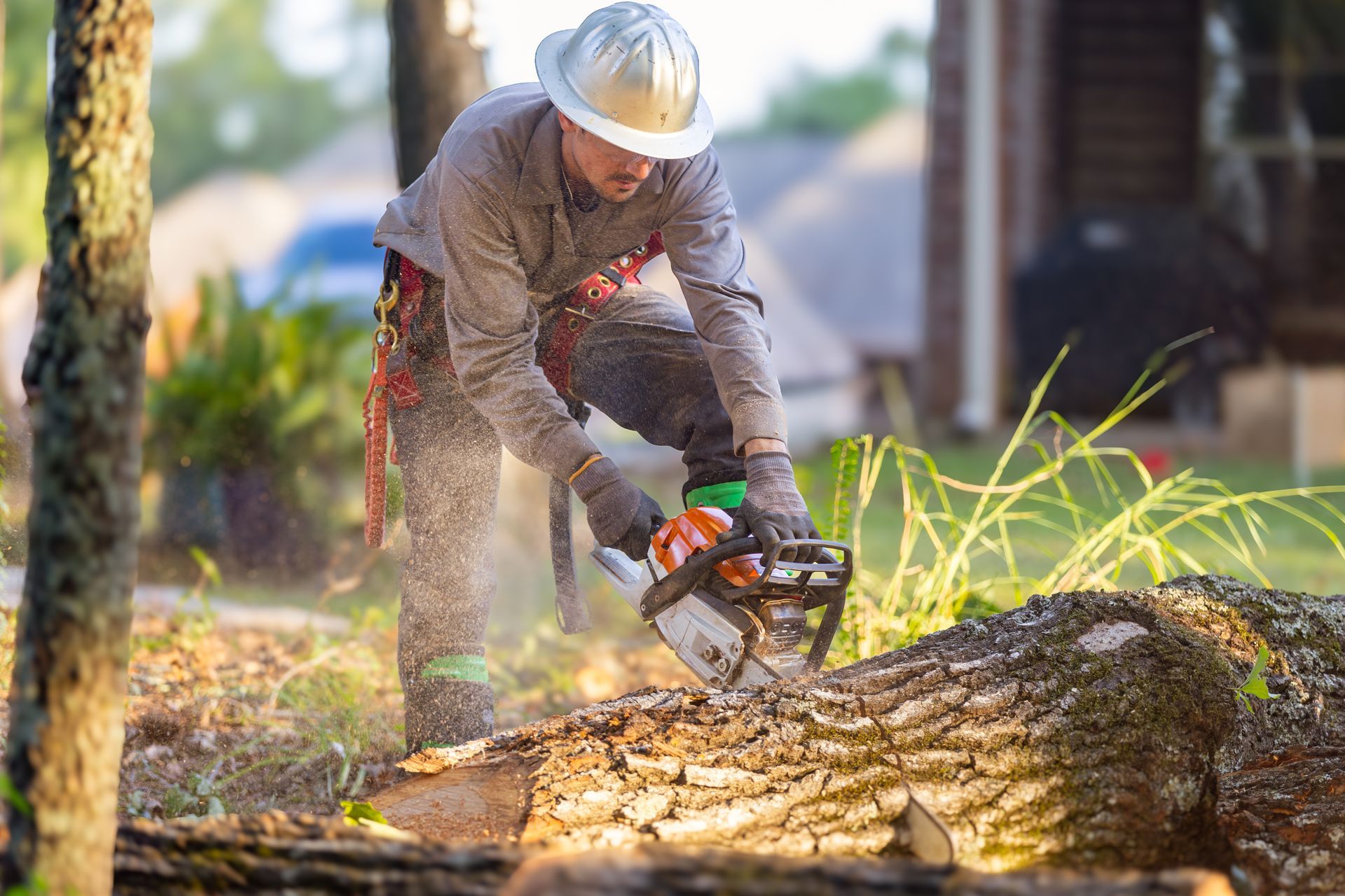 Worker using a chainsaw to cut a fallen tree trunk outdoors