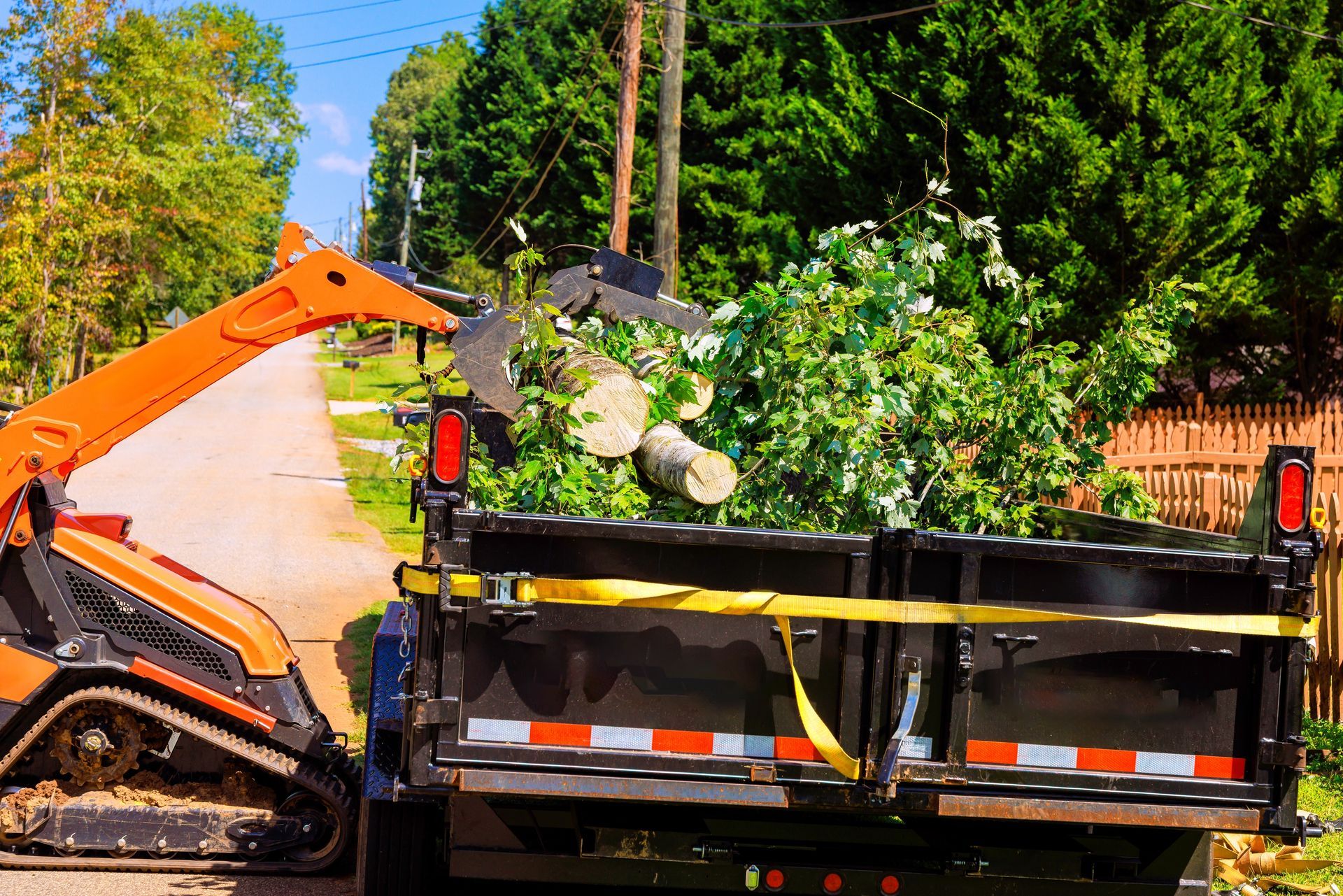 Excavator loading branches into a truck on a tree-lined roadside