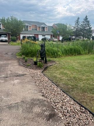 A driveway leading to a house with a statue of a dog on the side of it.