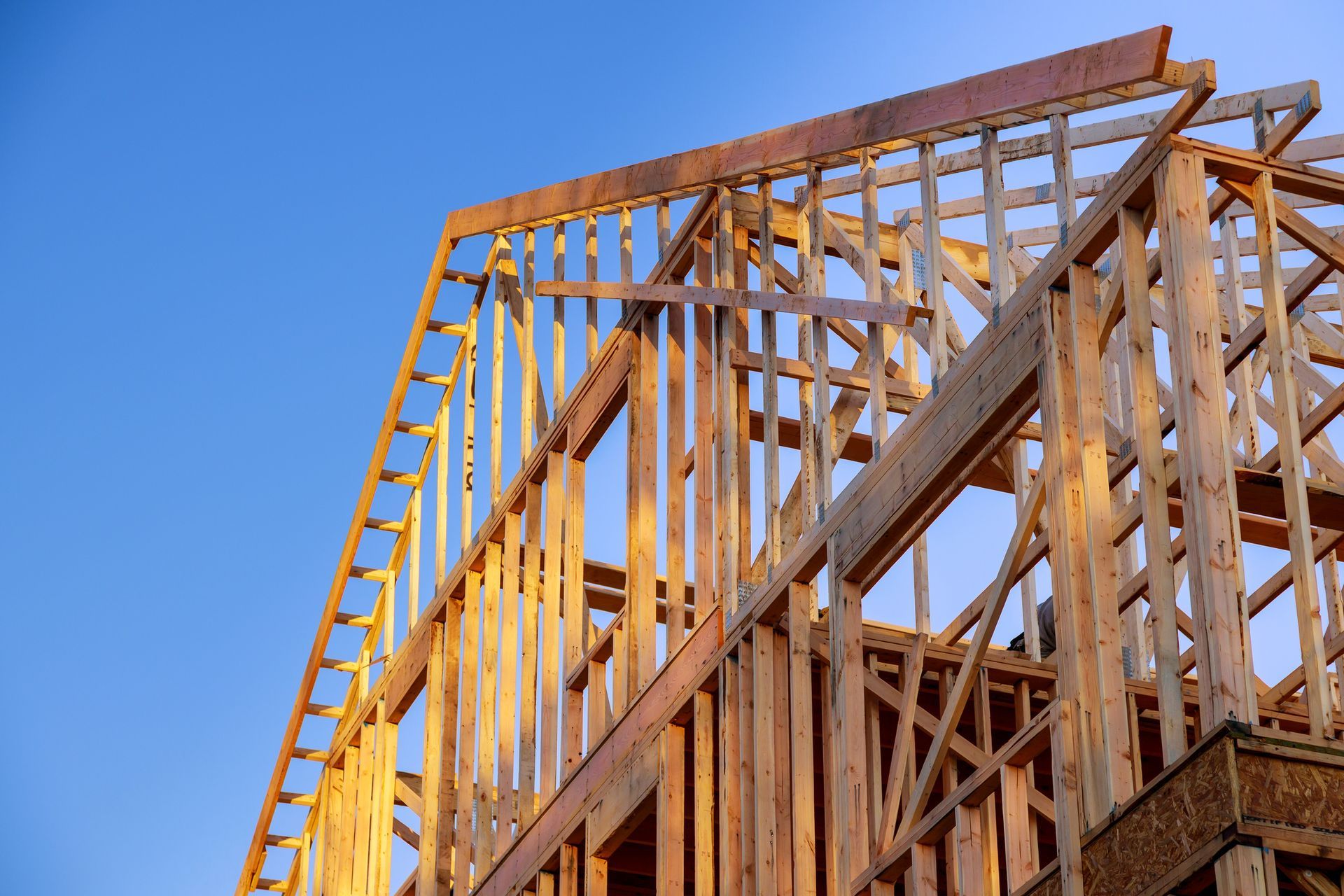 Apanui Mason | Porirua, NZ | Trust Builders Construction