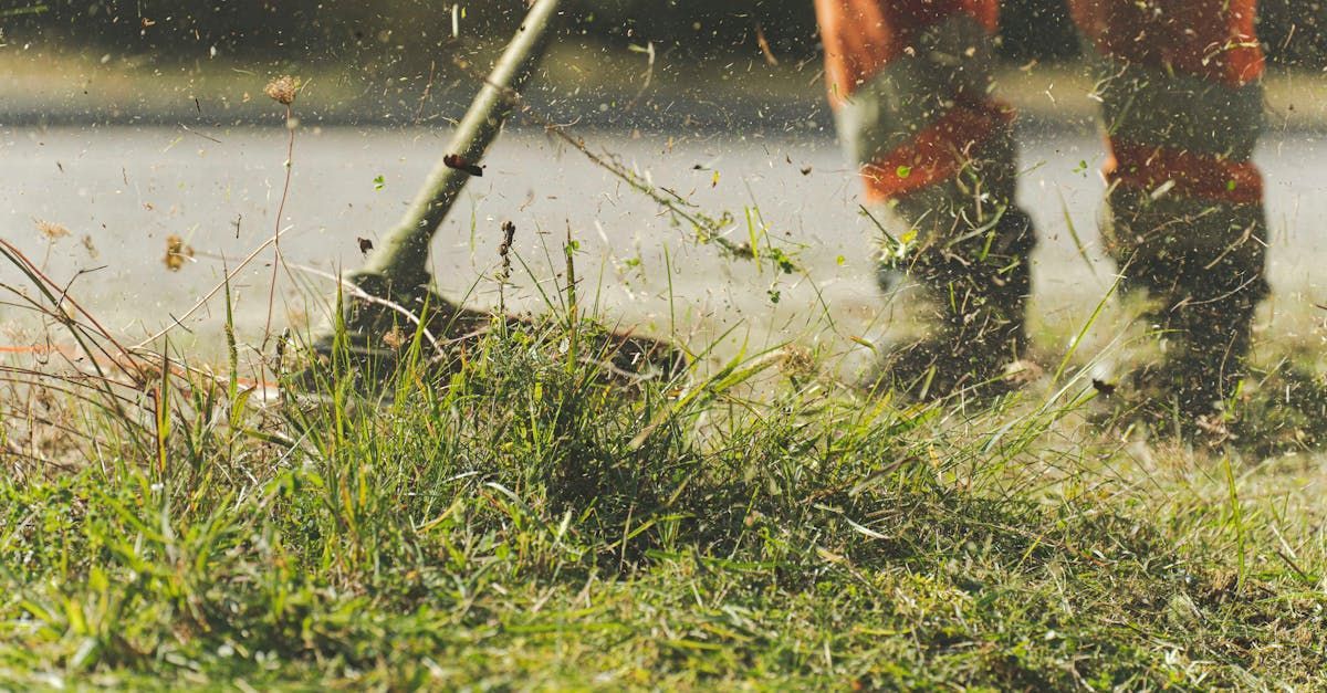 Weed eating and messy lawn jobs