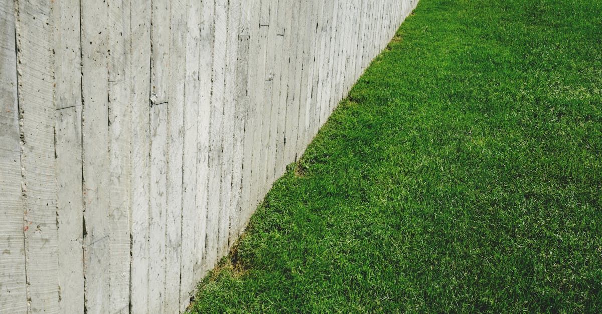 Edging lawns by J&T Lawn care