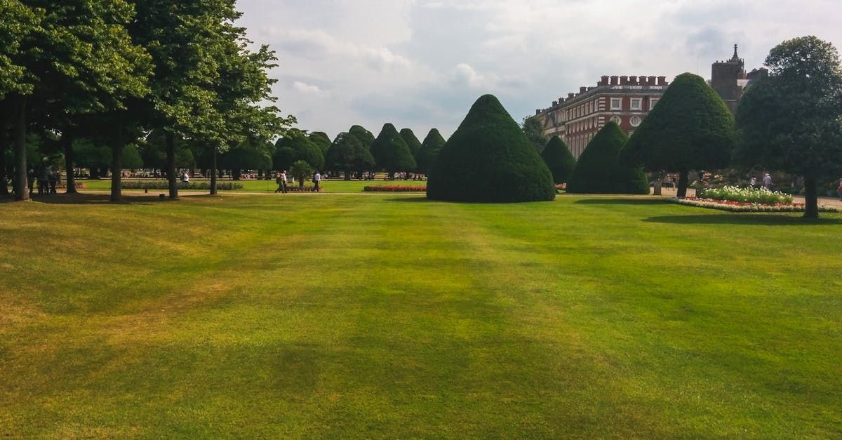 Upscale large lawns