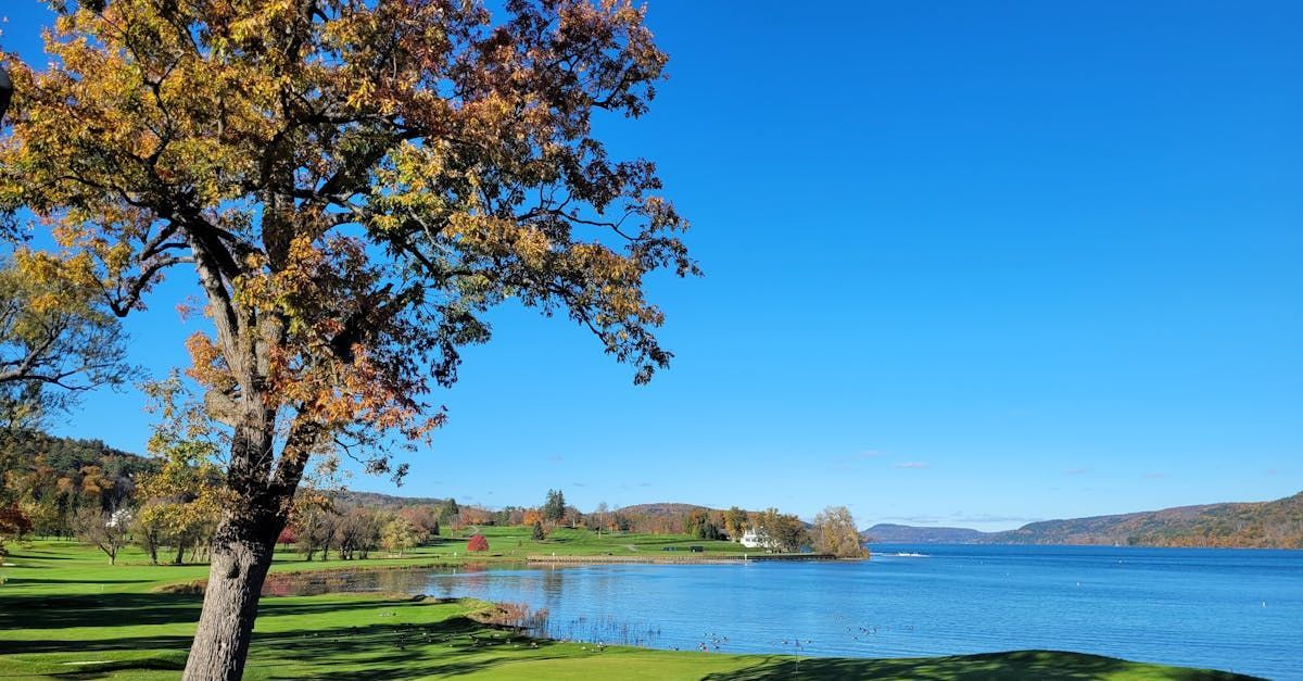 Fall lawn care and leaf removal