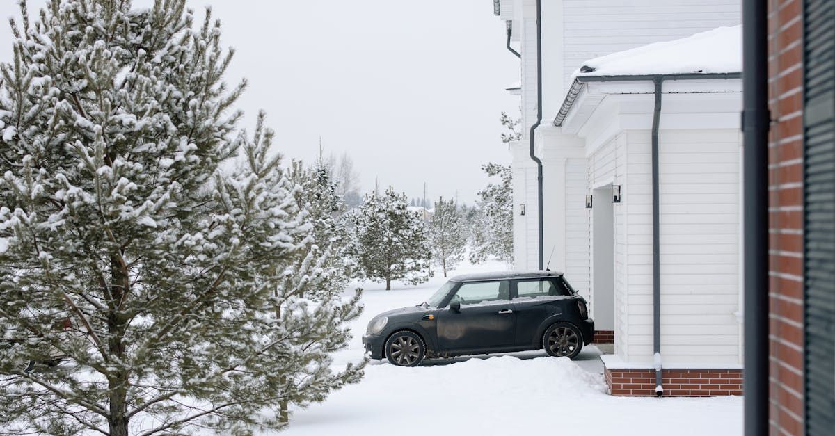 Snow removal 