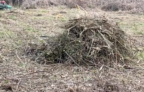 brush removal weaverville 