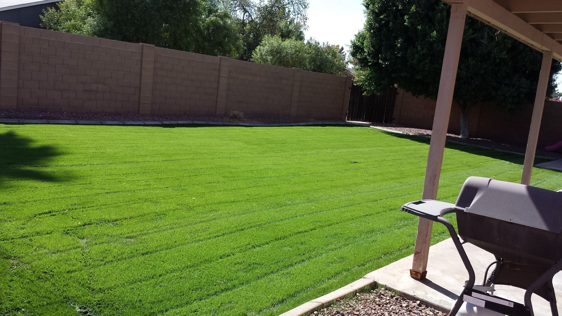 A backyard with a lush green lawn and a wheelbarrow in the foreground.